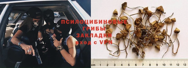 ГАЛЛЮЦИНОГЕННЫЕ ГРИБЫ Белоозёрский