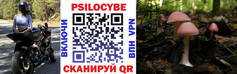 купить  цена  Лыткарино  блэк спрут сайт  Псилоцибиновые грибы Magic Shrooms 